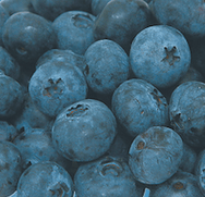 Screen shot 2015-05-13 at 12.10.15 AM