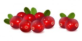 Cranberries_with_leaves