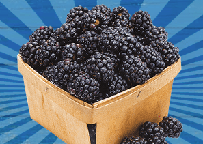 Screen shot 2017-03-29 at 10.53.42 PM